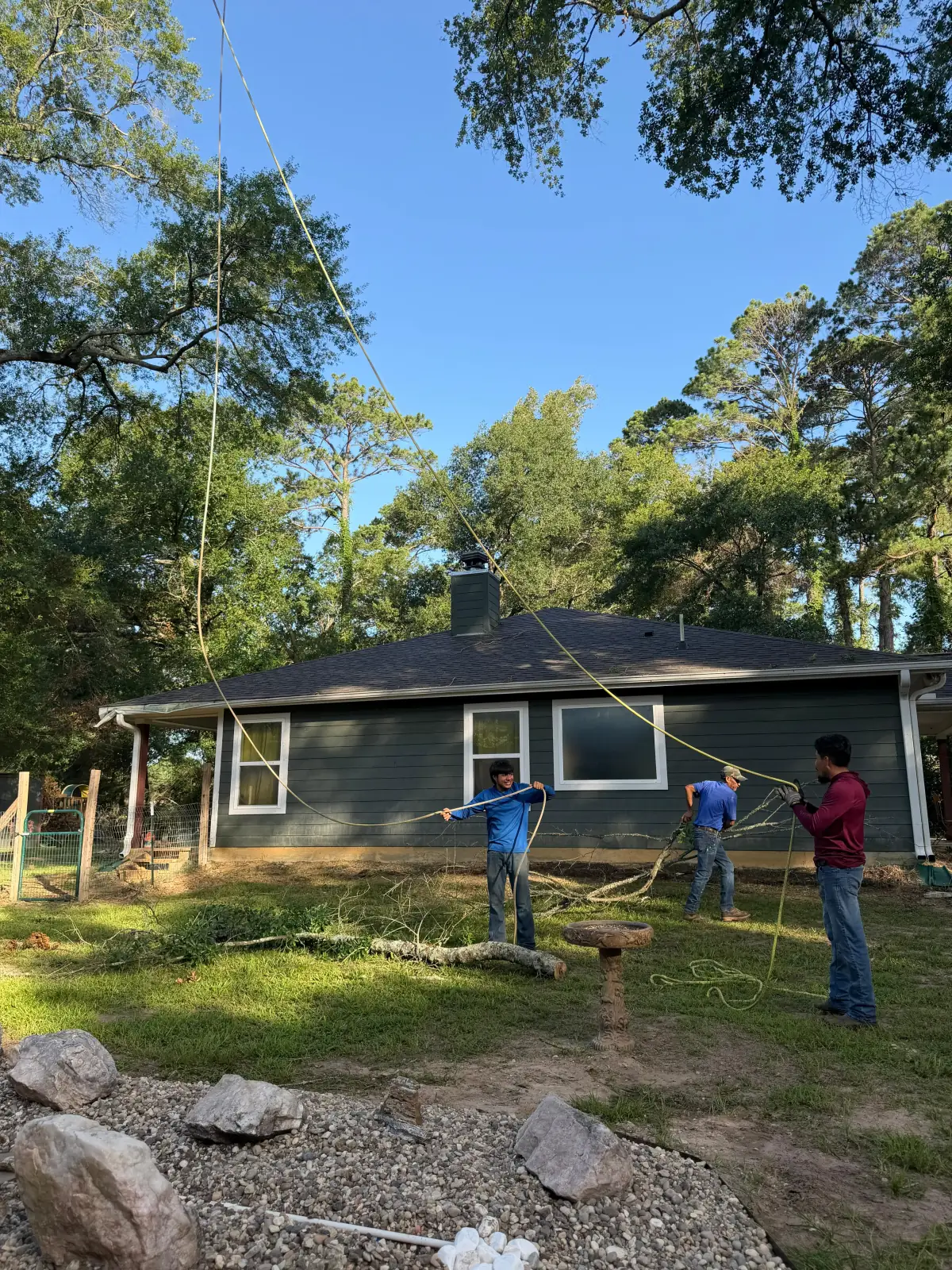 Blossom Exteriors crew using rigging ropes to lower a tree limb beside a house